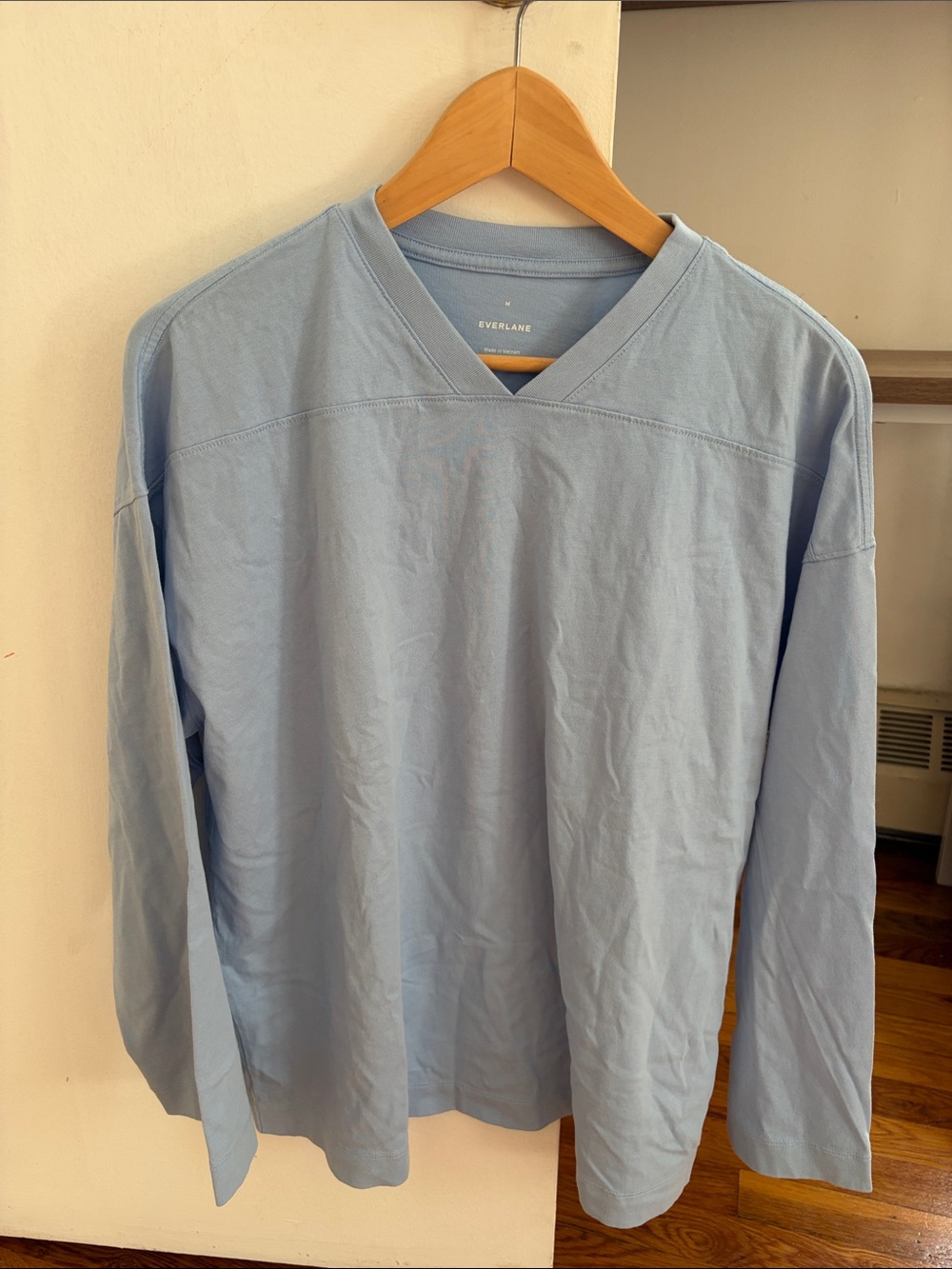 Everlane Light Blue V-Neck Long Sleeve Shirt
